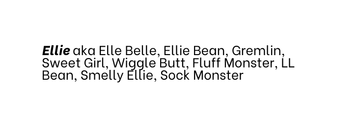 Ellie aka Elle Belle Ellie Bean Gremlin Sweet Girl Wiggle Butt Fluff Monster LL Bean Smelly Ellie Sock Monster