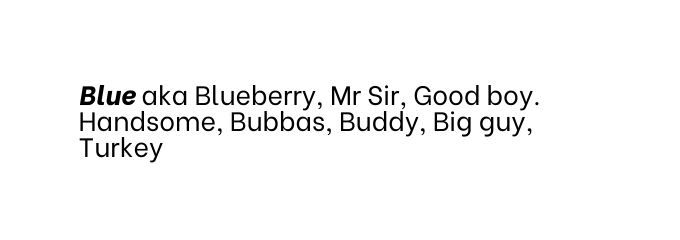 Blue aka Blueberry Mr Sir Good boy Handsome Bubbas Buddy Big guy Turkey