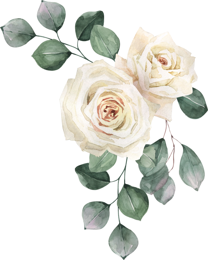 White Rose Flower